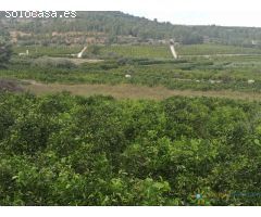 Terreno de venta en Sellent