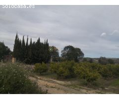 Terreno rural en Venta en Benigànim, Valencia