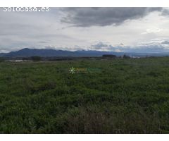 Terreno rural en Venta en Benigànim, Valencia