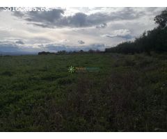 Terreno rural en Venta en Benigànim, Valencia