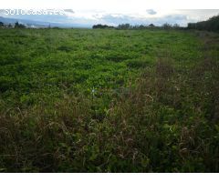 Terreno rural en Venta en Benigànim, Valencia