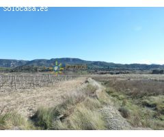 Parcela a la venta en Castellón de Rugat