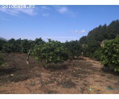 Terreno en venta en Villalonga