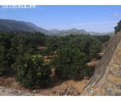 Terreno en venta en Villalonga