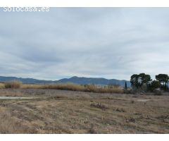 Terreno de venta en Alfarrasí