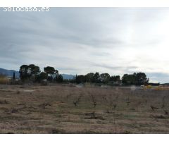 Terreno de venta en Alfarrasí