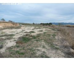 Terreno de venta en Alfarrasí