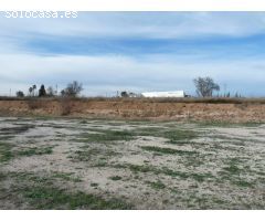 Terreno de venta en Alfarrasí
