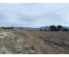 Terreno de venta en Alfarrasí