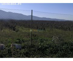 Terreno de venta en Castellon de Rugat