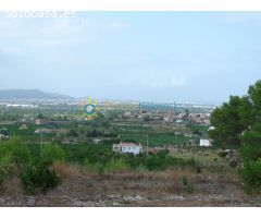 Terreno rustico de venta en Villalonga