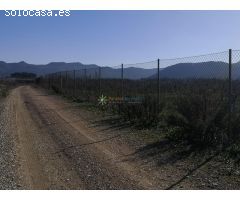Terreno de venta en Castellon de Rugat