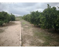 Terreno de venta en Rafelcofer