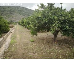 Terreno de venta en Rafelcofer