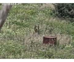 Terreno de venta en Beniganim