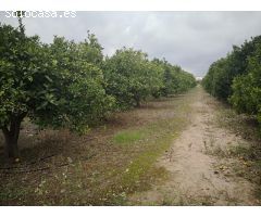 Terreno en venta en Rafelcofer