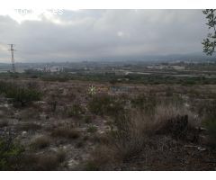 Finca rustica de venta en Albaida
