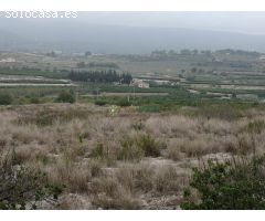 Finca rustica de venta en Albaida