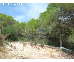 Terreno a la venta en Real de Gandia
