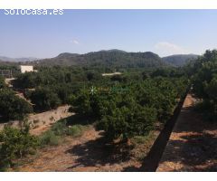 Terreno rústico en venta en Olvia