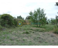 Terreno rústico en venta en Castello de Rugat