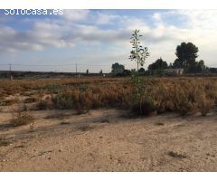 Terreno Librilla  con casa a reformar