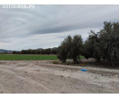 Terreno de Regadío - La Hoya, Lorca