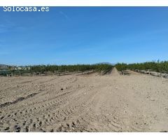 Terreno Agrario - Lébor, Totana
