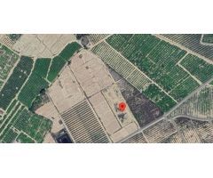 Finca Agrícola - Librilla