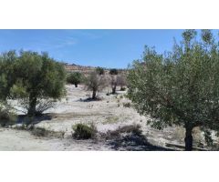 Terreno con Olivos - La Espada, Molina de Segura