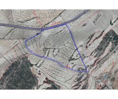 Finca Rustica con Casas y Almendros en Producción - Moratalla