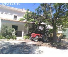 Finca Rustica con Casas y Almendros en Producción - Moratalla