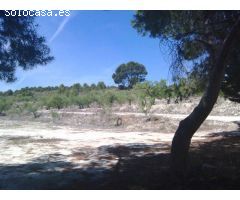 Finca Rustica con Casas y Almendros en Producción - Moratalla