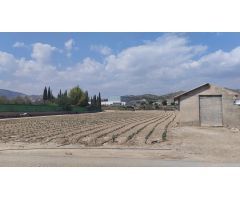 Terreno Agrario - Lébor, Totana