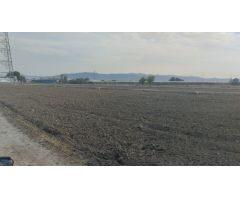 Terreno Rural - Lébor Bajo, Totana