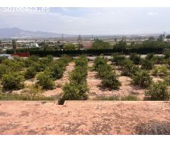 TERRENO URBANIZABLE EN LA CARRETERA ALHAMA-TOTANAA