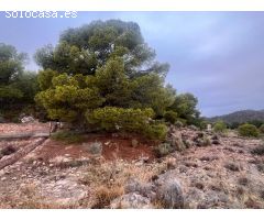 Terreno Vallado - Los Mortolitos, Totana
