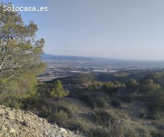 Vivienda  en Monte Natural con Coto de Caza - Totana