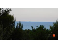 GRAN OPORTUNITAT FINCA RUSTICA