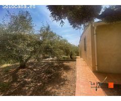 SE VENDE FINCA RUSTICA CON CASA, ALMACEN Y GRANJA EN ALCANAR (TARRAGONA)