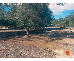 FINCA RUSTICA EN VENTA EN LA RAPITA (TARRAGONA)