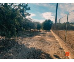 FINCA RUSTICA EN VENTA EN LA RAPITA (TARRAGONA)