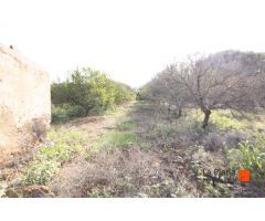 FINCA CON CASETA Y AGUA EN SANTA BARBARA (TARRAGONA)
