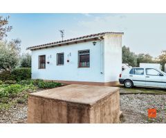 FINCA RUSTICA CON CASA EN VENTA EN FREGINALS (TARRAGONA)