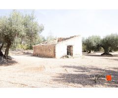 FINCA EL PELOS EN VENTA EN LA GALERA (TARRAGONA)