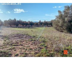 FINCA RUSTICA CON CASETA EN VENTA EN SANTA BARBARA (TARRAGONA)