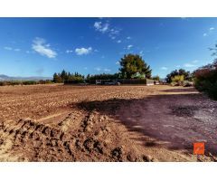 FINCA RUSTICA CON CASA EN VENTA EN SANTA BARBARA (TARRAGONA)