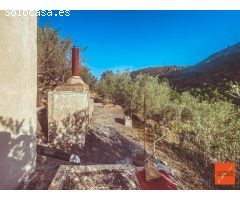 FINCA RUSTICA CON CASETA-LA RAPITA-TARRAGONA