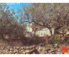FINCA RUSTICA CON CASETA-LA RAPITA-TARRAGONA