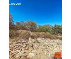 FINCA RUSTICA CON CASETA-LA RAPITA-TARRAGONA